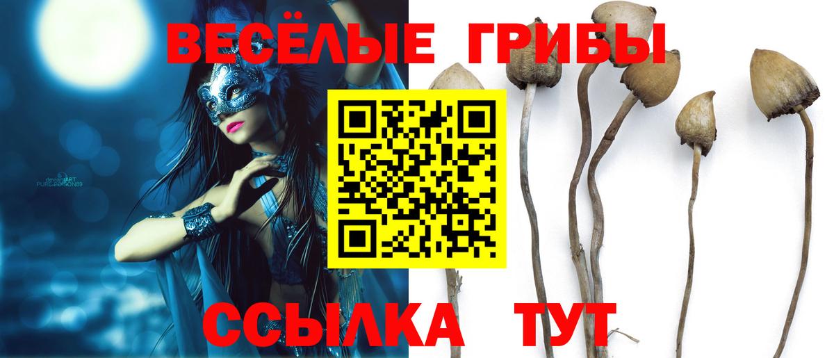 Ноябрьск  Псилоцибиновые грибы Psilocybine cubensis  Вход с VPN 